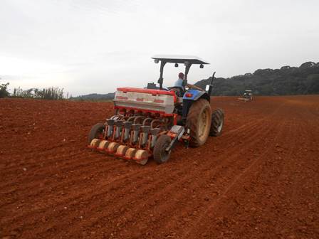 Programa Plantio Direto de Cebola