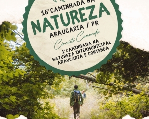 caminhada-araucaria