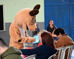 castrapet-contenda-3