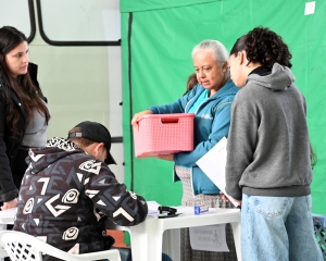 castrapet-contenda-6