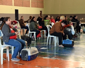 castrapet-contenda-7