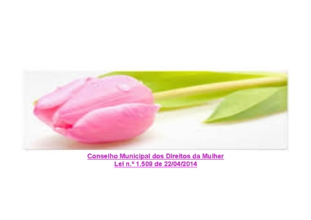 Criado o Conselho Municipal dos Direitos da Mulher