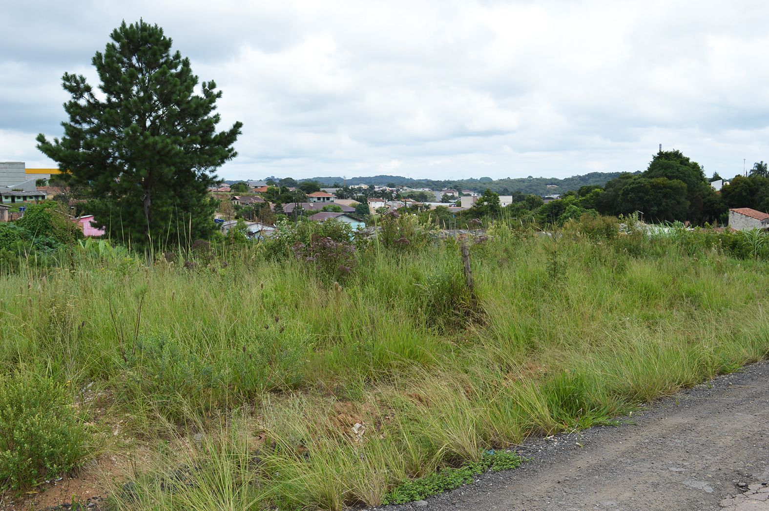 Município orienta os moradores sobre limpeza de terrenos baldios