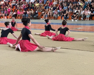 festival-ginastica