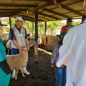 curso-ovinocultura-4