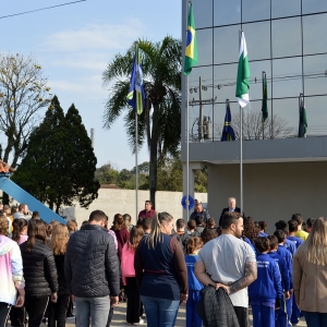 hasteamento-bandeira-2