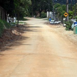 pedro-machado-1_(249)