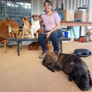 protetores-animais_(532)