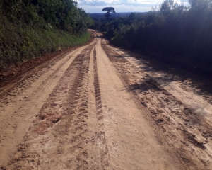 estrada-ingazeiro.jpg