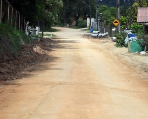 pedro-machado-1_(249).jpg