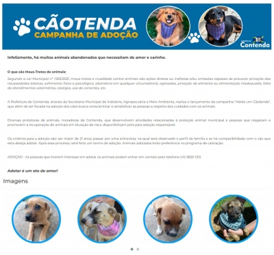 Contenda: prefeitura cria canal virtual para adoção de cães