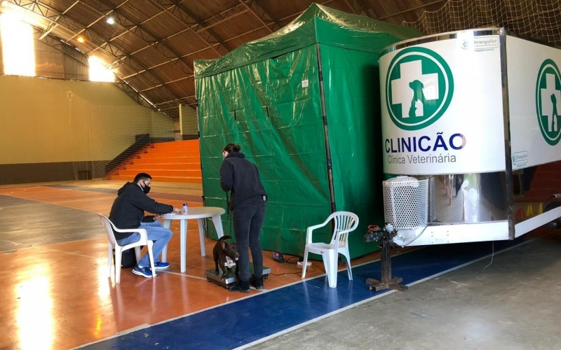 Contenda prepara a castração de animais