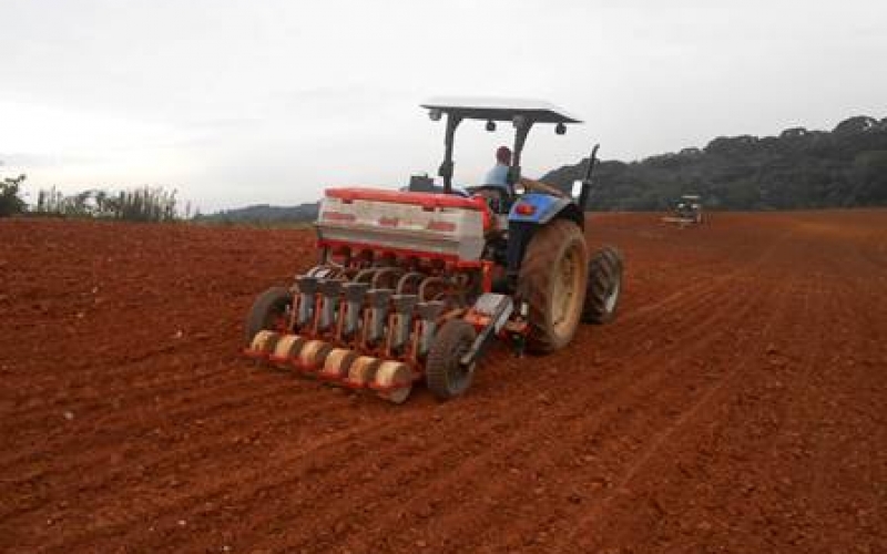 Programa Plantio Direto de Cebola
